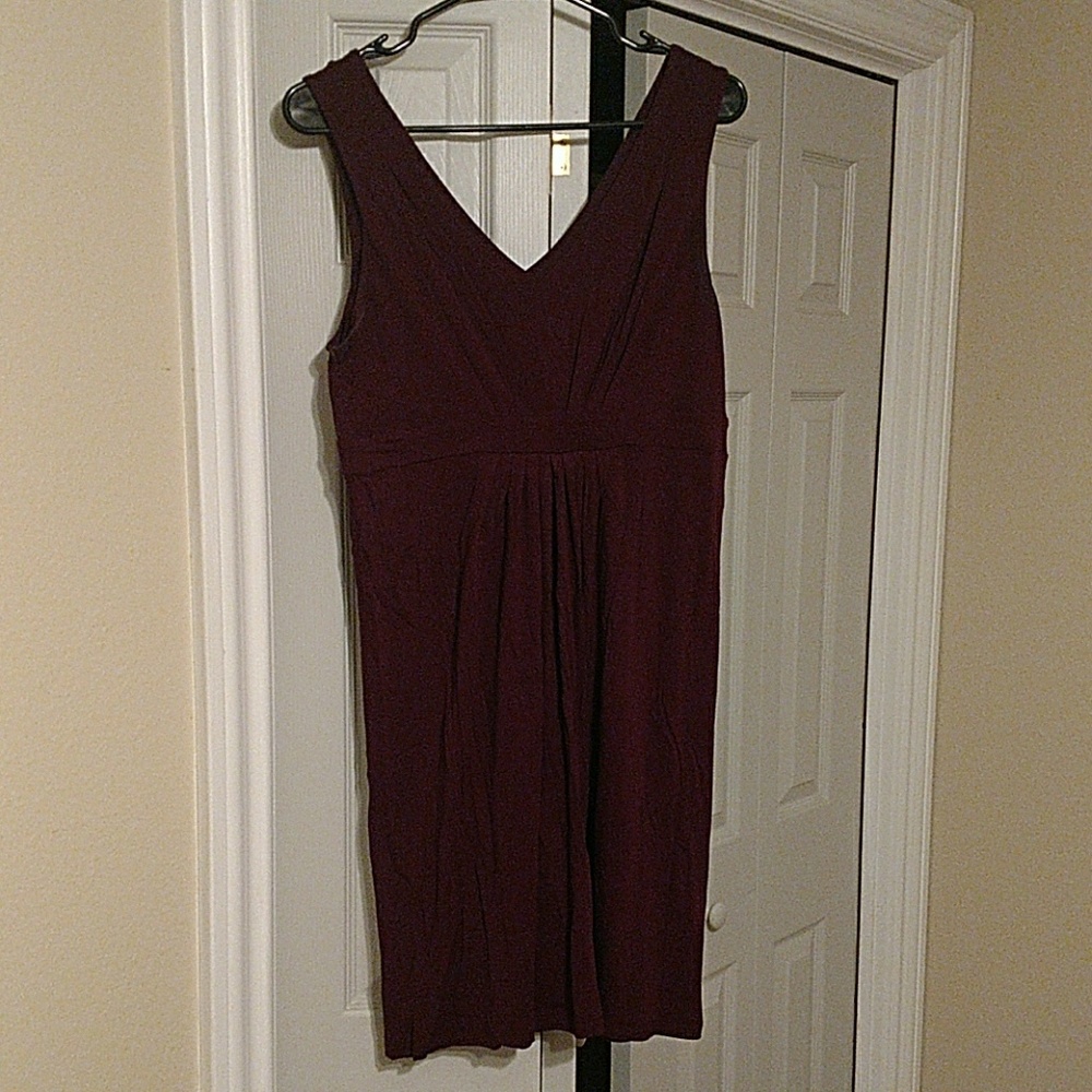 Loft Empire Waste Cabernet Dress